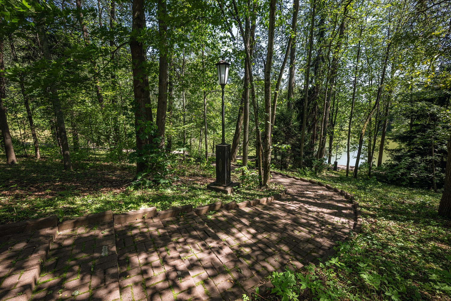 Реликтовый парк