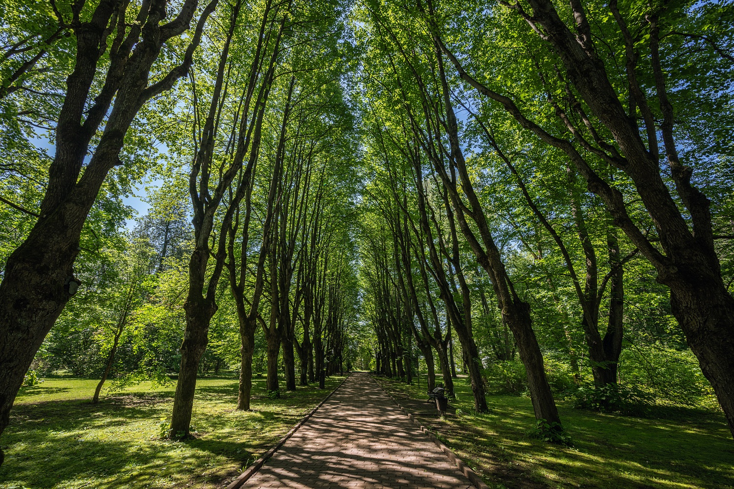 Реликтовый парк