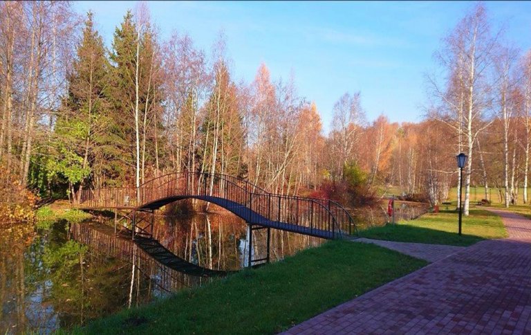 Парк сказка в гусь хрустальном фото